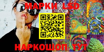 прущие крисы Кингисепп