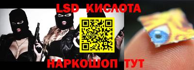 прущие крисы Кингисепп