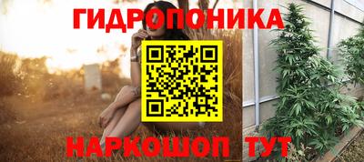 a pvp Кинель