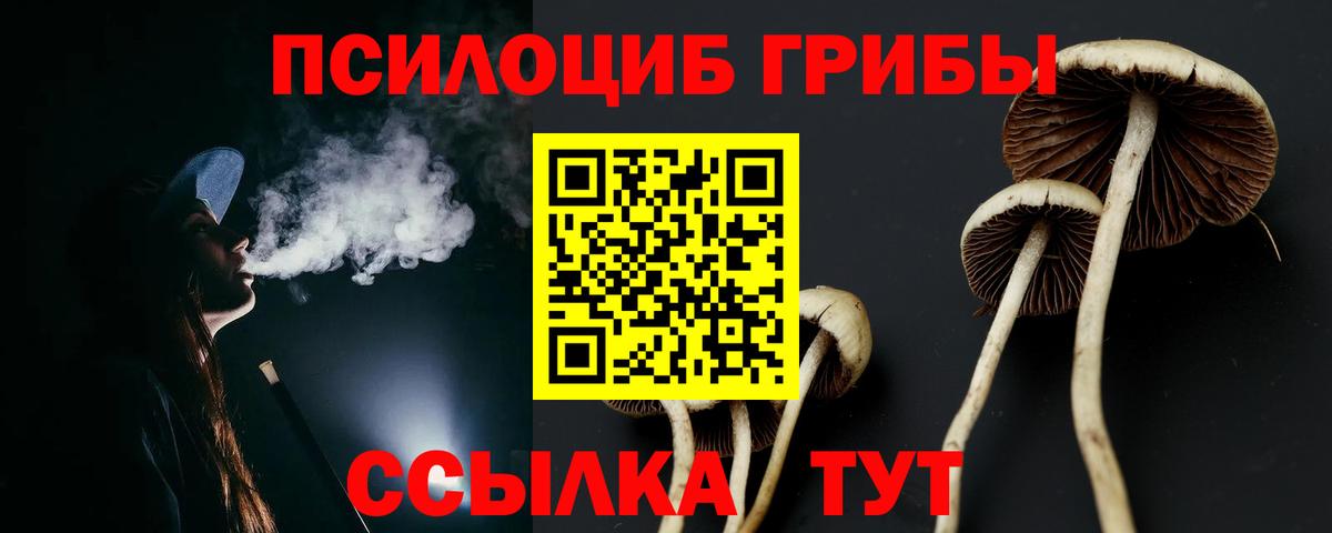 Конаково  Псилоцибиновые грибы мицелий  Псилоцибиновые грибы прущие грибы  что такое наркотик  Вход с VPN 